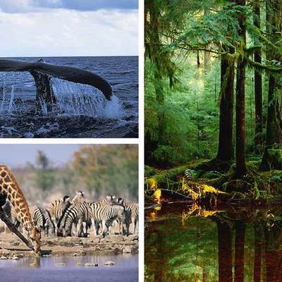 Timeline: ESS@ISB class of 2019