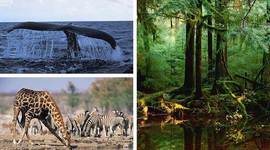 Timeline: ESS@ISB class of 2019