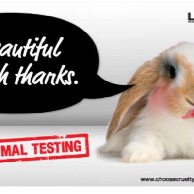 Timeline: Testing Products on Animals
