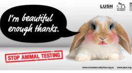 Timeline: Testing Products on Animals