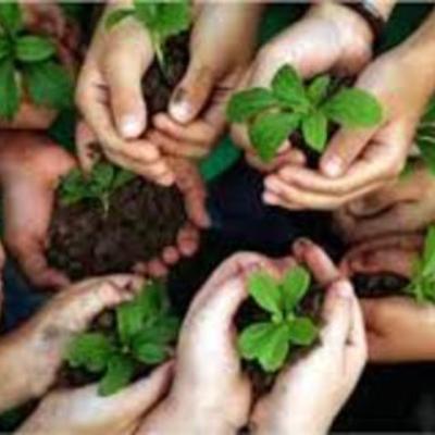 Timeline: LINHA DO TEMPO DOS PRINCIPAIS PONTOS PARA O MEIO AMBIENTE