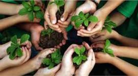 Timeline: LINHA DO TEMPO DOS PRINCIPAIS PONTOS PARA O MEIO AMBIENTE