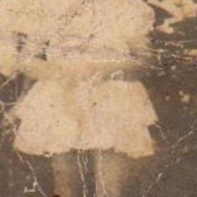 Timeline: Hermosa vida