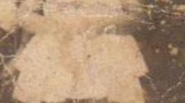 Timeline: Hermosa vida