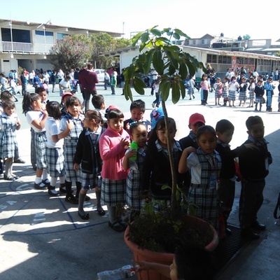 Timeline: Primer semana de prácticas