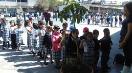 Timeline: Primer semana de prácticas