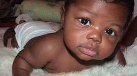 Timeline: timeline project