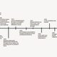 Brazil timeline