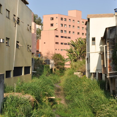 Timeline: A história de Viçosa