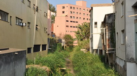 Timeline: A história de Viçosa