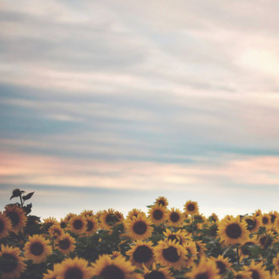 Timeline: Primera jornada