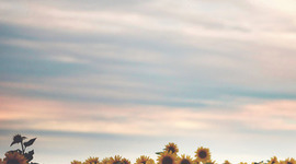 Timeline: Primera jornada