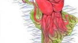 Timeline: Latin American Revolutions