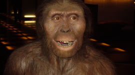 Timeline: australophitecus