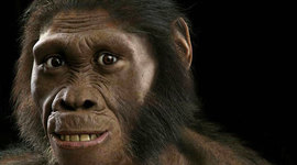 Timeline: la prehistoria