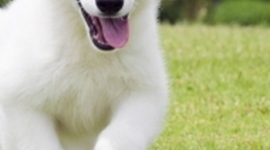 Timeline: Jalenas Life