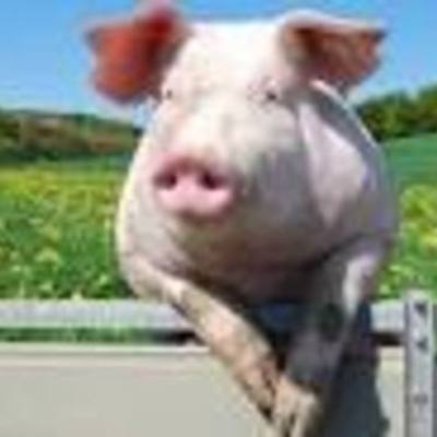 Timeline: APUSH - period 4