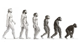 Timeline: Desarrollo de la teoría de la evolución