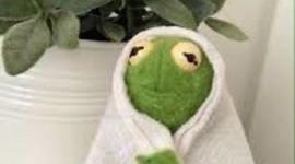 Timeline: 1301 DCUSH Timeline