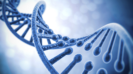 Timeline: BIO 156 redemption assignment