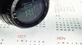 Timeline: My Timeline