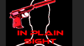 Timeline: Aliza in plain sigth