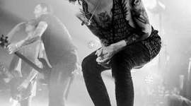 Timeline: Denis Shaforostov