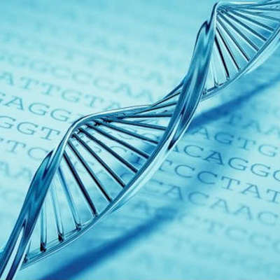Timeline: Un poco de historias (herencia biológica)