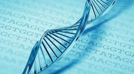 Timeline: Un poco de historias (herencia biológica)