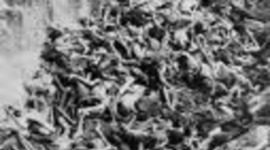 Timeline: Diversity, Prejuice and Discrimination