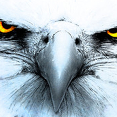 Timeline: 1301 Timeline Project