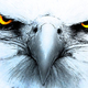 Eagleface