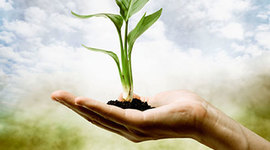 Timeline: ESS timeline