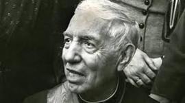 Timeline: ANGEL AYALA