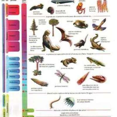 Timeline: El gran calendario