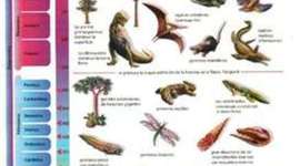 Timeline: El gran calendario