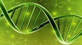 Timeline: Timeline of Biology Events