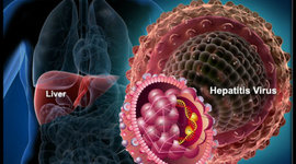 Timeline: Hepatitis B