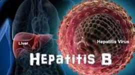 Timeline: Les malalties contagioses