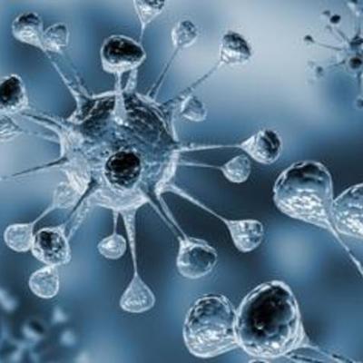 Timeline: Taxa de mortalitat de malalties de transmissió sexual