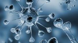 Timeline: Taxa de mortalitat de malalties de transmissió sexual