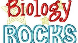 Timeline: BIO 181 Redemption assignment