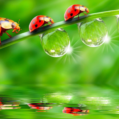 Timeline: la vida de Noa Aguiló