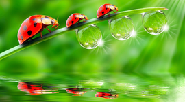 Timeline: la vida de Noa Aguiló