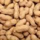Peanut