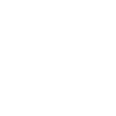 Timeline: Lider do Futuro e Demais Entregas