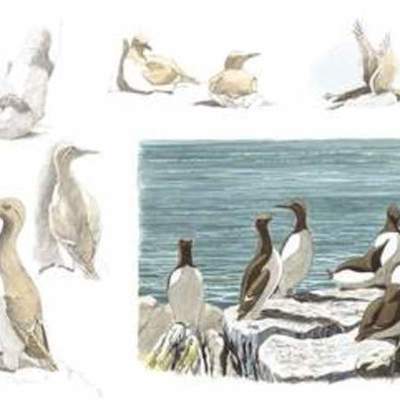 Timeline: URIE BRONFENBRENNER, TEORÍA ECOLÓGICA, editado por EDILSIA PANTEVIS LOZANO