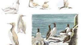 Timeline: URIE BRONFENBRENNER, TEORÍA ECOLÓGICA, editado por EDILSIA PANTEVIS LOZANO