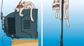 Timeline: Evolución de la televisión