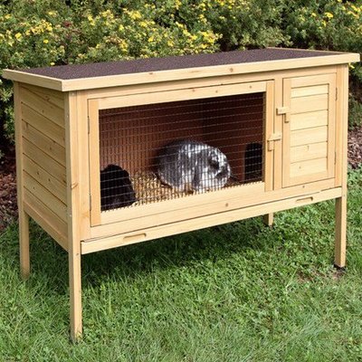 Timeline: Hok voor Verwaarloosd Huisdier (leeg)